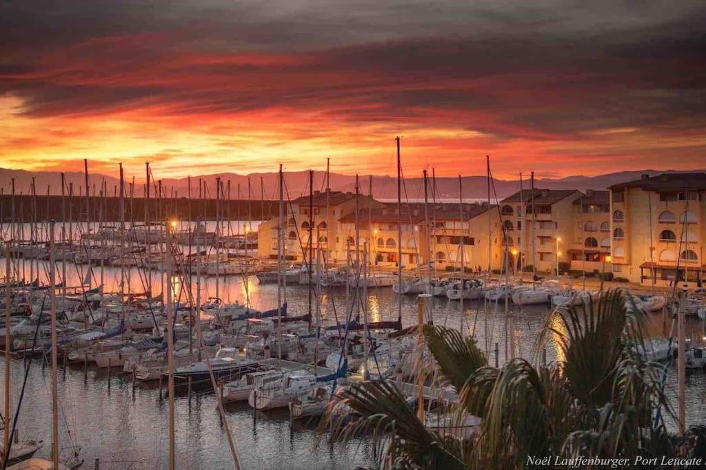 Les Voiles Blanches T2 Luxe A 100M De La Plage Leucate Extérieur photo